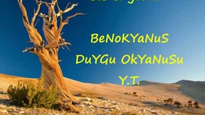 HER ŞEYE İNAT AŞK