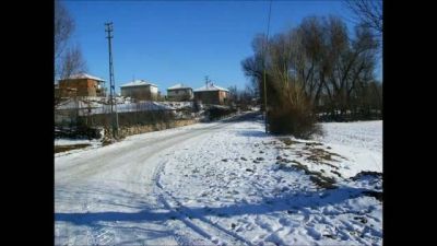yüksel adanur