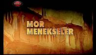 Mor Menekşeler 22. Bölüm