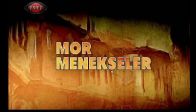 Mor Menekşeler 23. Bölüm