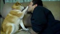 Öpücük istemeyen köpek