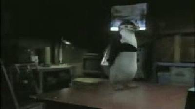 Masa tenisi oynayan penguen