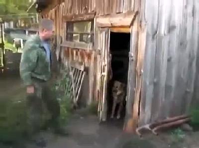 Banyo yapmak istemeyen köpek