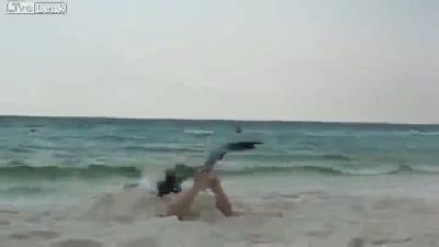Plajda martı operasyonu