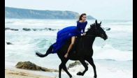 Amazing Galloping Horses