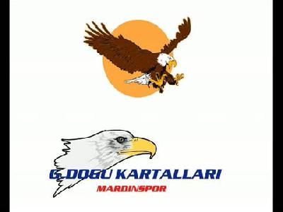 Mardin spor