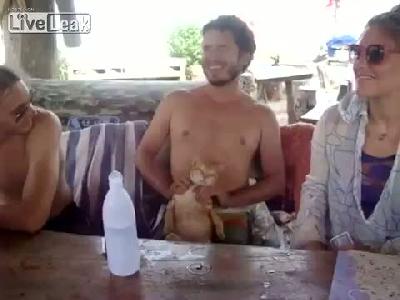 Kediyi Rahatlatan Masaj