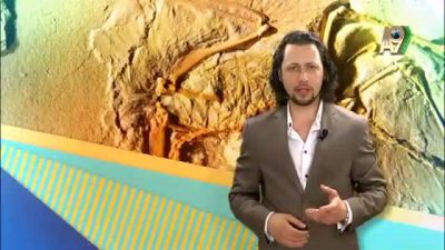 Darwinistler neleri düşünmezler? 6