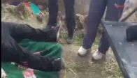Suriye'den vahşet görüntüleri