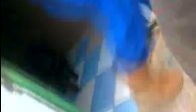 video Emanet köpeklere dayaklı eğitim