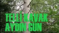 Telli Kavak-aydın Gün(yurdagül özay)