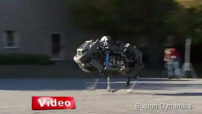 Google dan Robot