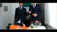 video Bal Yatağı Balları