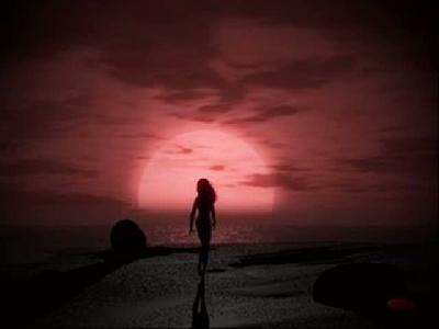 Ne Yaptımsa Da Senı Bulamadım İzzettın Bılgın Ne Yaptımsa Da Senı Bulamadım İzzettın Bılgın