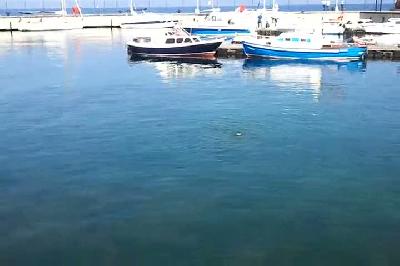 Yelken Marinede doğal havuz