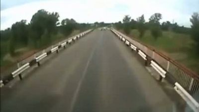 tır koyunları parçalıyor