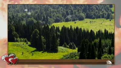 BENİ KAYBEDİYORSUN DAMLA DAMLA