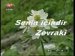 video Senin içindir - Zevraki