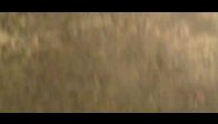 video SIRIK KEBABI