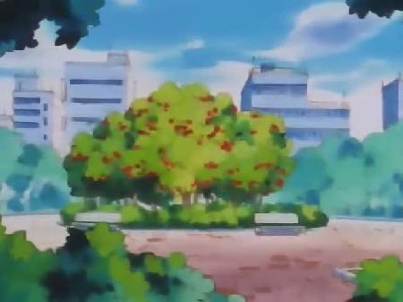 Pokemon 47. Bölüm İzle