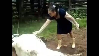 Evde Neden İnek Beslenmez