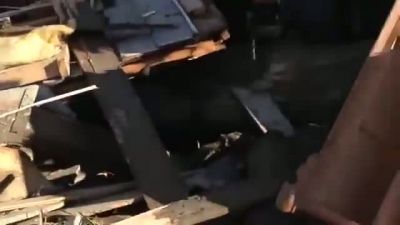 Köpek Toprak Altından Çıkarıldı