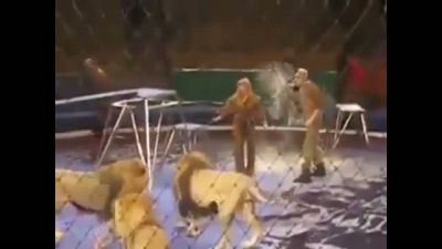 Aslanlar vs Aslan Terbiyecileri
