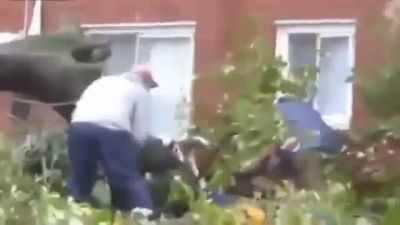 Bindiği Dalı Kesen Adam